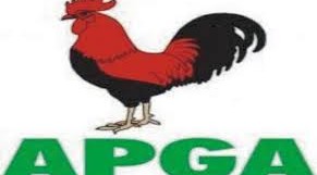 APGA runs risk of disqualification- Okoli Akirika