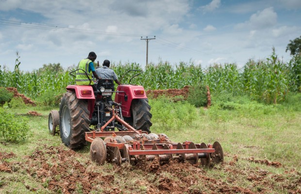 Expert proffers solution to food shortages