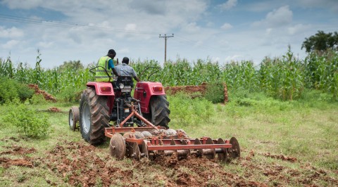 Expert proffers solution to food shortages