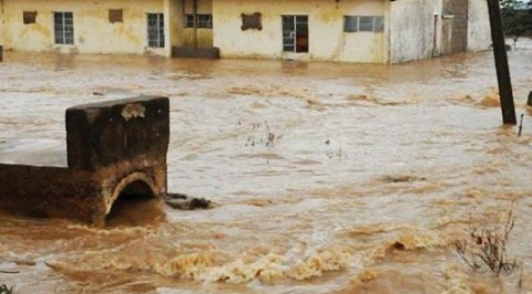 NEMA on assessment visit to areas affected by flood in Adamawa state