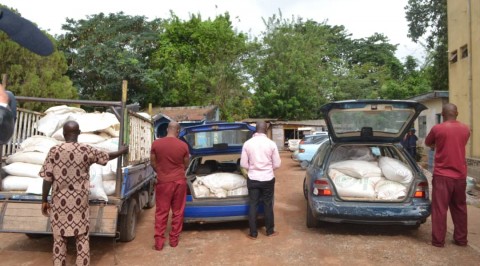 Oyo NSCDC Arrest Four Suspect For Theft of Palliative