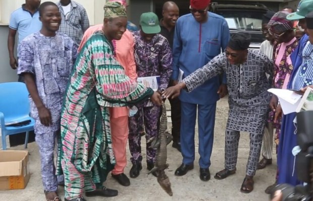 NARPPMAN  Presents Crocodile to Obasanjo, Seeks Efforts to Develop Rubber Industry