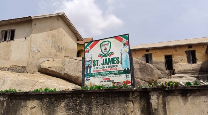 Two Pupils Die, as Ogun Begins Deworming of 700,000 School-age Children