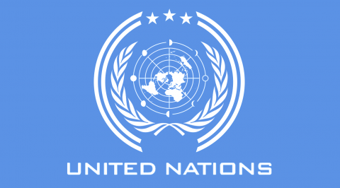 Group seeks UN intervention over xenophobic attack